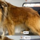 비즈니랜드 네이버블로그