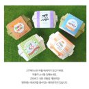 케이스박사2 이미지