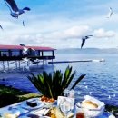 참새 다락방 이미지