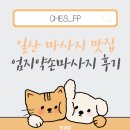 [내돈내산] 일산 장항동 마사지 맛집 엄지약손 - 어디가 아픈지 알려주는 통증관리 전문샵