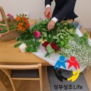 창녕서울병원 전문장례식장 | 이대서울병원 장례식장 이용후기 및 장례비용 총정리