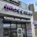동탄원더스동물의료센터 | 동탄 능동 동물병원 노령견 만성 심부전 치료 후기