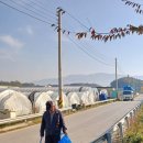 가산3리 이미지