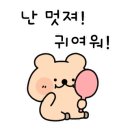 아꼬아 펫 살롱 이미지