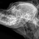 사상동물병원 이미지