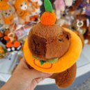 대진카서비스 | 5분만에 읽는 모녀 제주 서귀포 여행 짧은 2박3일 코스