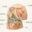 하나스포츠 - 11655 | 하나스포츠