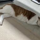 웨스턴5빌딩 이미지