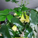 (주)맘실버케어 이미지