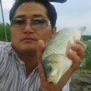 아름다운 그님 이미지