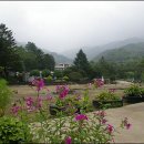 토지초등학교연곡분교장 이미지