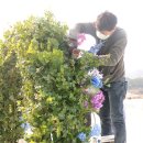 동산아트플라워