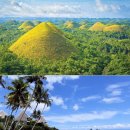 무주반딧불투어 | 환상적인 반짝반짝임. 필리핀 보홀 반딧불 투어 실시간 후기