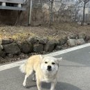 M.net 노래연습장 이미지