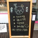 댕댕이 커트방 이미지