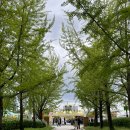 GS25고양센터점 | 2025 고양국제꽃박람회 일산호수공원 5월 날씨 주차 먹거리 후기