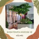 금촌2배수펌프장 | 대형조화나무 시공 후기 : 금촌 기업 로비에 심은 압도적 존재감의 망고나무