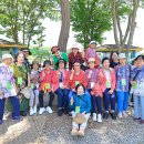 청천나들이 이미지