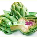 아티초크의 효능 - 서양의 불로초 이미지