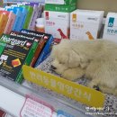 인천굿모닝약국 이미지