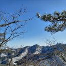 삼성산 스크린 | 난소자궁적출 3개월후//회복과 운동하기.. 수술후기 3탄