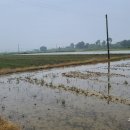 성현목장 이미지