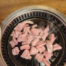 와우꼼장어