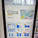 폴라폴라 티스토리