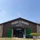 하이드온부쉬 이미지