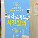 뮤지컬 하이파이브 이미지