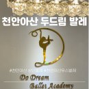 발레 호두까기 인형 | 수영 대신 선택한 천안 성인 발레반 두드림 발레, 결과는?