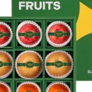 프리미엄농장 이미지