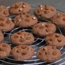 초코칩클래스 이미지