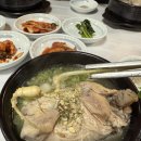 진부면 맛집 장수현 산양삼을 품은 닭