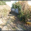 진전면101 이미지