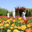 퍼스트가든 동물카페 이미지