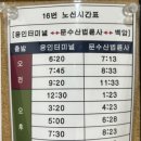 문수산 법륜사 (용인) 템플스테이 예약해서 1박2일 체험한 경험담