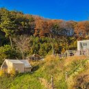 안성(서울) | 서울 근교 단풍 키즈캠핑장 안성 캠프그라운드 화우 B6 명당 사이트 후기