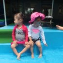 다희농원 이미지