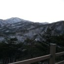 금강산약국 이미지
