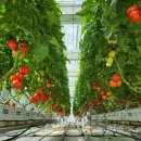 수경축산 이미지