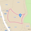 부용공인중개사사무소 Daum카페