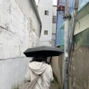 솔향서점 네이버블로그