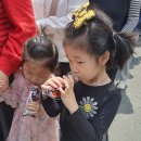혜원 이미지