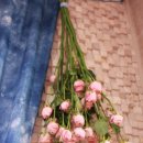 대박농장2 이미지