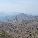 마니산 농원 이미지