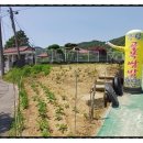 전원닷컴옥천공인중개사사무소 | 대전 근교 옥천맛집 구읍 우렁골목쌈밥 전통문화체험관 주변 든든한 점심 한끼 맛집 내돈내산 진심 후기