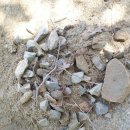 도림초교병설 이미지