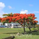 대상(주)유통 울산지점 투어코리아