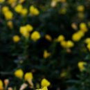 황금소아청소년과의원 이미지